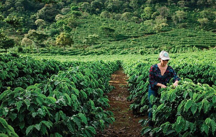 Serve ethically sourced coffee that supports local coffee farmers