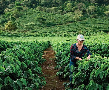 Serve ethically sourced coffee that supports local coffee farmers