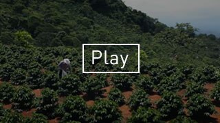 Video of Coffee Farmer Farming Ethically Sourced Starbucks Coffee