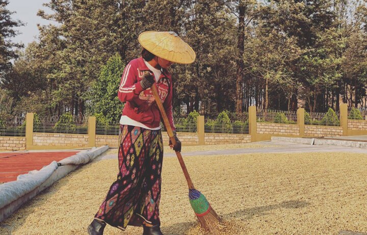 Chameleon Organic Coffee Farmer