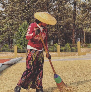 Chameleon Organic Coffee Farmer